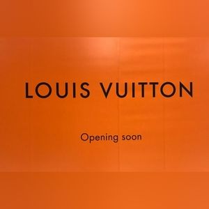 HARD TO FIND SIZE / STYLE~ LOUIS VUITTON DELIGHTFUL NM GM